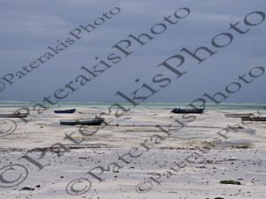2901 ΒΑΡΚΑ ΠΑΡΑΛΙΑ ΦΟΙΝΙΚΑΣ ΜΟΣΧΑΡΙ ΚΑΘΗΜΕΡΙΝΗ ΖΩΗ KITE SURF PAJE STONE TOWN ΖΑΝΖΙΒΑΡΗ ΤΑΝΖΑΝΙΑ 29-07-2025