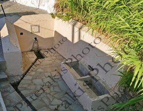 2902 ΒΡΥΣΗ ΠΟΤΑΜΟΣ ΑΝΤΙΚΥΘΗΡΑ 29-08-2025