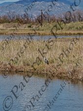 3007 ΑΡΓΥΡΟΠΕΛΕΚΑΝΟΣ ΛΙΜΝΗ ΒΙΣΤΩΝΙΤΙΔΑ ΠΟΡΤΟ ΛΑΓΟΣ ΞΑΝΘΗ 30-09-2024