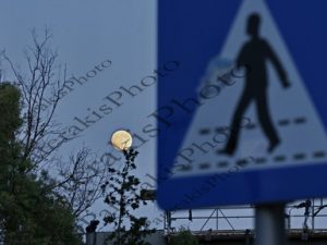 2501 ΠΕΡΠΑΤΩΝΤΑΣ ΓΙΑ ΤΗΝ ΣΕΛΗΝΗ ΔΕΛΦΙΝΑΡΙΟ Ν ΦΑΛΗΡΟ 25-09-2026